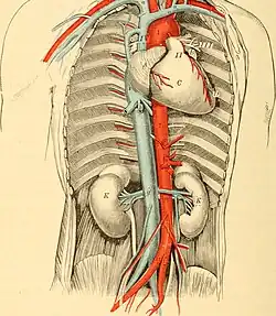 Anatomy,_physiology_and_hygiene_for_high_schools_(1900)_(14594984357)