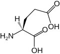 L-Glutamic acid (Glu&nbsp;/&nbsp;E)