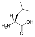 L-Leucine (Leu&nbsp;/&nbsp;L)